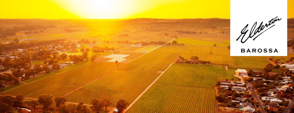 Aerial view of the Elderton Nuriootpa vineyard at sunrise