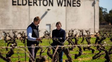 Winemakers Jules Ashmead and Brock Harrison in vineyard