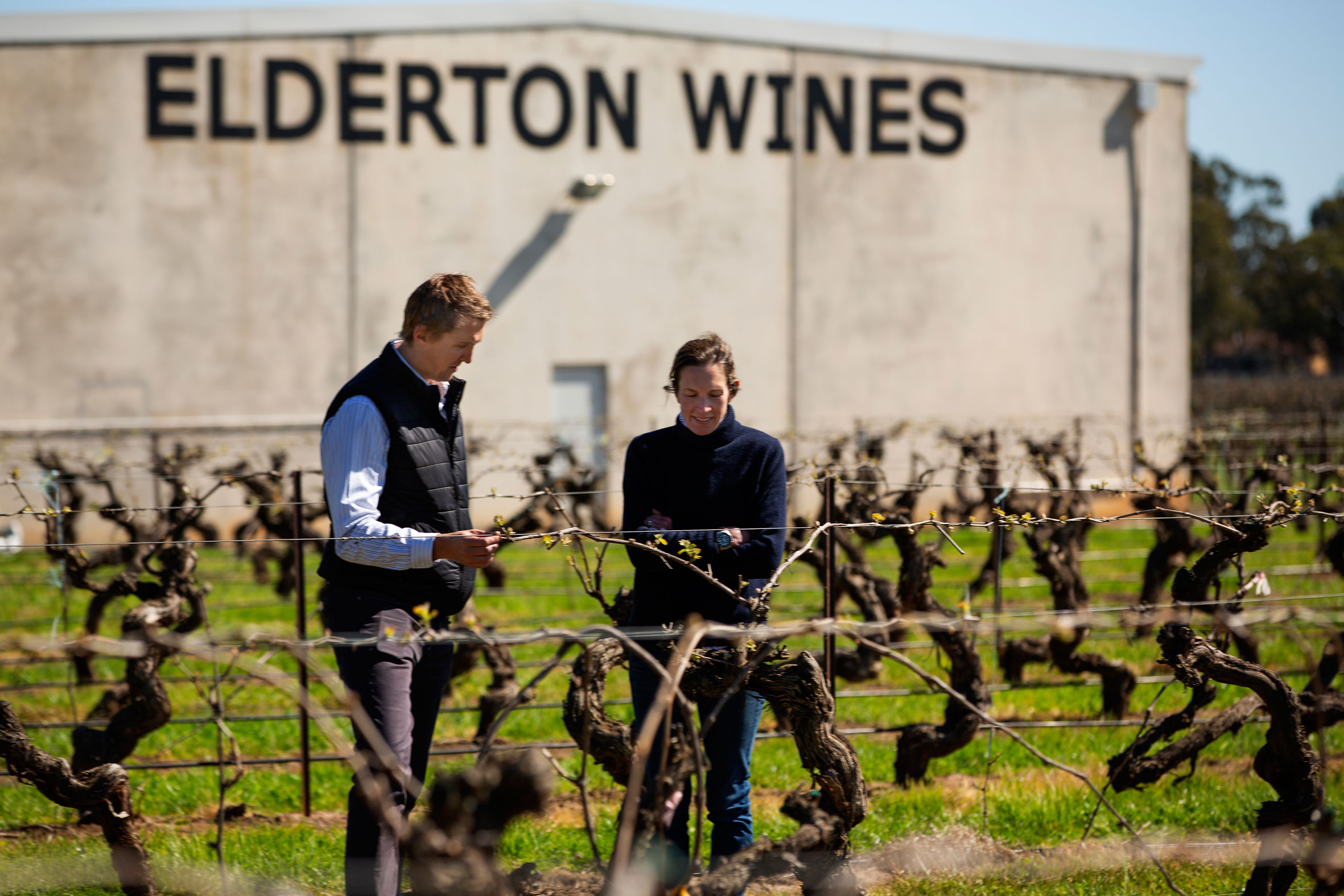Winemakers Jules Ashmead and Brock Harrison in vineyard