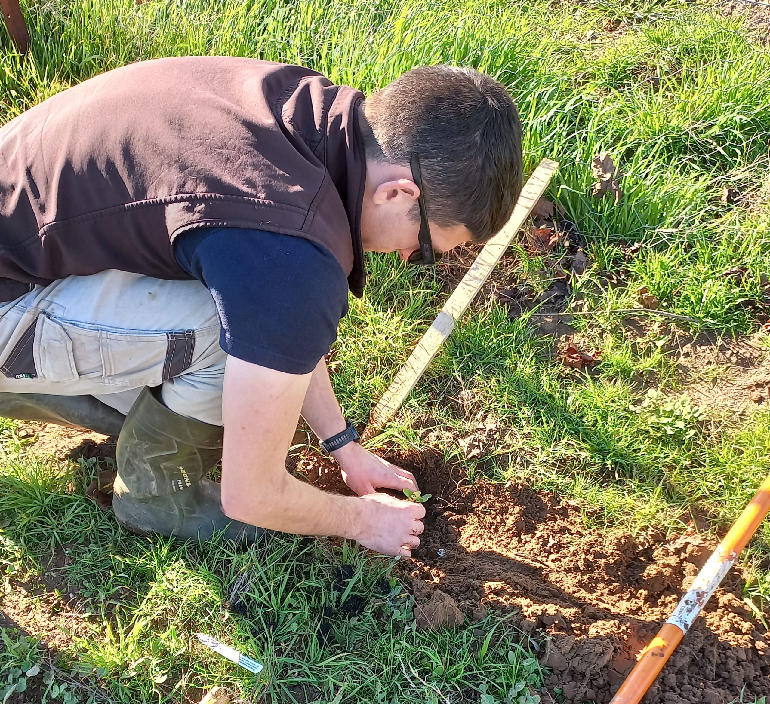 Elderton revegetation planting Barossa